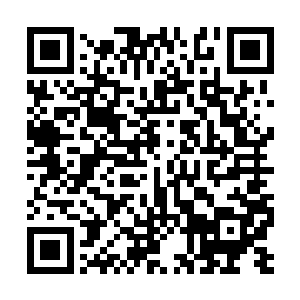 苏落终于找到了攻略踏雪无痕墨角腾云兽的办法了二维码生成