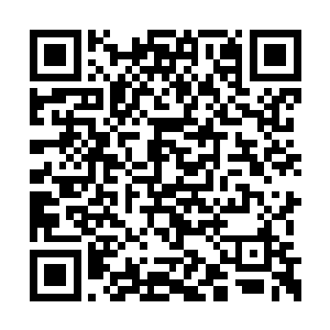 苏落终于明白南宫流云很久之前说过的那句话了二维码生成