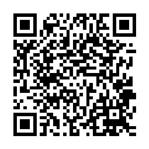 苏落身上搜出来的那颗才是咱们刀火部落遗失的皇级凝血丹啊二维码生成