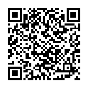 苏落躲在卷成一团的软绵被子里在大床上滚来滚去的萌样二维码生成