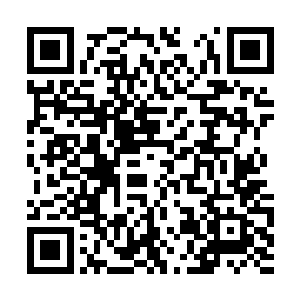 苏落还只是一个为了考上中帝学院不断努力的姑娘二维码生成