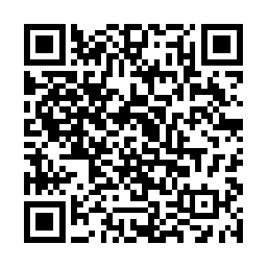 苏落还是将空间里剩余的粮食和肉类都交给楚老爷子二维码生成