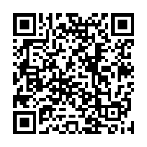 苏落这会儿终于想起被她放进空间不允许出来的小黑猫了二维码生成