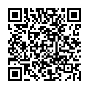 苏落顿时就想到自己之前挑晶石石头那凶残的模样二维码生成