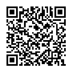 苏蕖早已经从她身上的气息感觉到她的实力强弱二维码生成