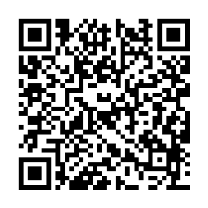 苏醉蝶有些奇怪的看了一眼叶璃才翻开手中的折子二维码生成