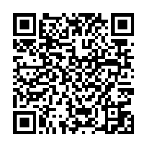 苏醉蝶看着眼前依然有条不紊的忙着自己的事的妙龄女子二维码生成