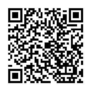 苏醒时在山洞意识模糊中得到另一个叫丝葭的少女的记忆二维码生成