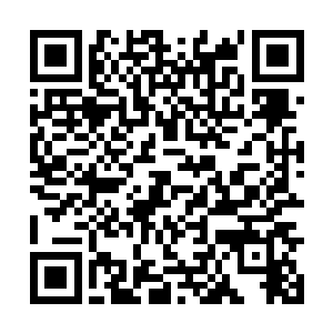 苏释晨来了%就算是公开课失败对于游诃的影响也不大二维码生成