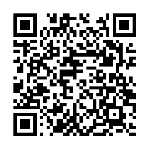 苏门的新生大巫身份以最快的速度流传至全有角族二维码生成