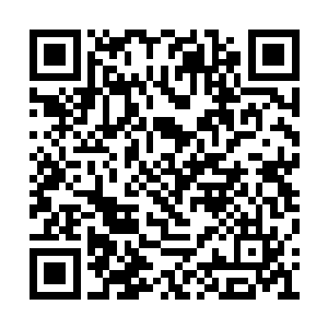 苏阮阮一个女人带着孩子没名没份连家都不敢回二维码生成