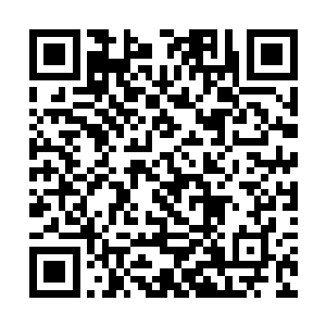 苏雨果用力之下将手中刚买好的牛肉都捏的严重变形二维码生成