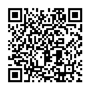 苏雪一进来就咋咋呼呼地拉着白芷璃要到学校的公示栏那边去看二维码生成