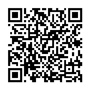 苏雪还不知道白芷璃东黎墨就是两个人独自住在山上的竹楼里二维码生成