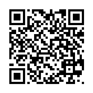 苏青城三人加上自己和阿英也不过五个二维码生成