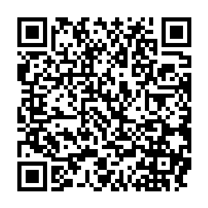 苏青黛则在一旁将那河蚌里面的肉都掏出来放到早就准备好了菜篮子二维码生成