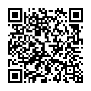 苏青黛和红灵的对话可把苏父和汪鑫强看得一愣一愣的二维码生成