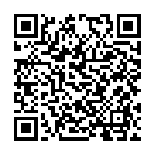 苏青黛自然是使劲浑身解数地和这店里的伙计攀谈二维码生成
