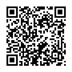 苏青黛见苏婶子梗着脖子一副她才是受害者的样子二维码生成