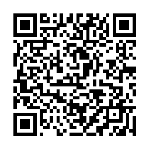 苏青黛这会儿哪里还敢让王晚乐和红灵呆在一块儿二维码生成