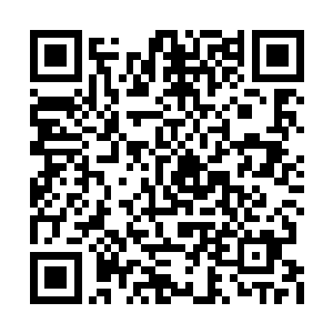 苏香儿苏媚儿两姐妹就是白狐宗的嫡传弟＝＝子二维码生成