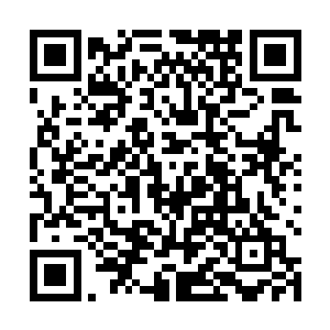 苔丝女士并没有将所有的兵力都投入到雄狮镇的战斗中二维码生成