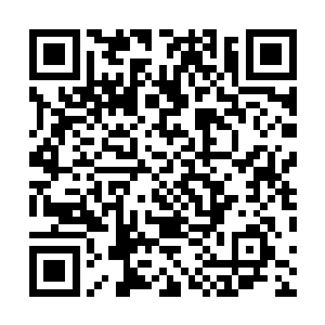 苗催催自那一次自杀事件之后再也没有出现在我们的视线二维码生成