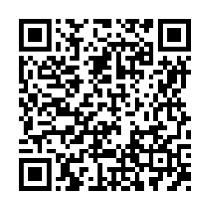 苗坤生的小姨子老婆没想到丈夫会这个时候回来二维码生成