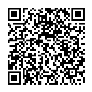 苗坤生说的话都已经不是简单的县委书记批评乡党委书记那么简单的事儿了二维码生成