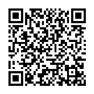 苗大圣主想掌控无量一道的兵权显然没那么容易二维码生成