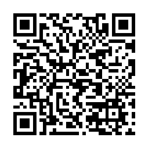 苗少杰从来也都没有想到过朱晋岩竟然是这样的人二维码生成