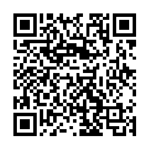 苗忠伟和另外一位队友在队长的厉声呵斥下离开了队伍二维码生成