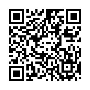 苗忠伟和赵咏君两人看着哗啦啦摇晃的松树二维码生成