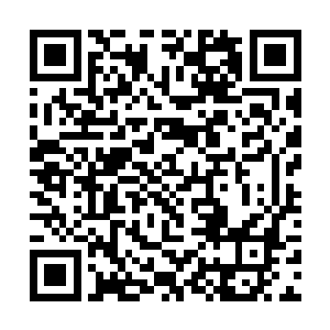 苗毅也不知道杨召青怎么就看上了林萍萍那半老徐娘二维码生成