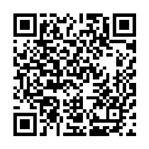 苗毅发现这曾经明媚照人的女人眉宇间多了几丝淡淡的忧伤二维码生成