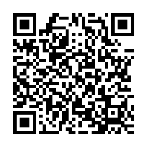 苗毅只是觉得没有在两极星吸收阴阳之火时的提升进度快……二维码生成