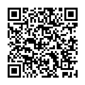 苗毅干脆趁机开始整理那两百多只储物戒里的东西二维码生成