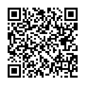 苗毅心想没什么关系你犯得着跟肖乙主一起跑我这来吗二维码生成