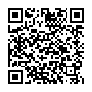 苗毅抬了一次价也飞快被其他人的抬价给淹没了二维码生成