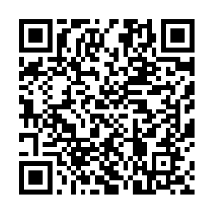 苗毅拱手谢过皇甫君媃便和孟迟掌柜热聊着一起离开了二维码生成