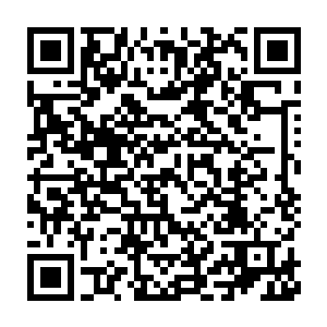 苗毅来浮光洞一年多来和曹定风之间并没有和他们夫妇之间走的近二维码生成