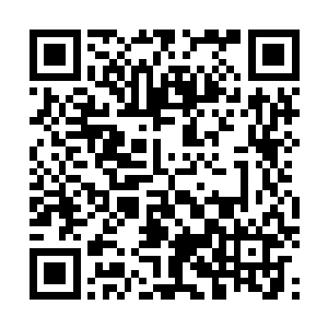 苗毅来镇癸殿当府主时也不可能把杨庆手下的山主给带走二维码生成