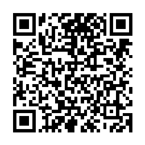 苗毅的目光从两只小妖身上投向了前方山巅之上旌旗飘扬的位置二维码生成