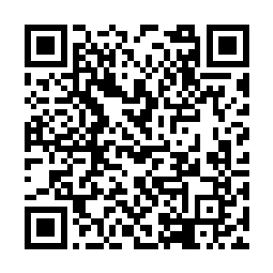 苗毅目光落在对方那被自己扎得千疮百孔的衣服上二维码生成