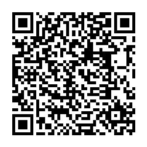苗毅真没想到自己对杨庆委以重任而杨庆居然反抛出一个如此长远的计划来二维码生成