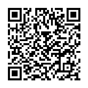 苗毅瞬间联想到了凤巢内那两张高高在上的椅子二维码生成