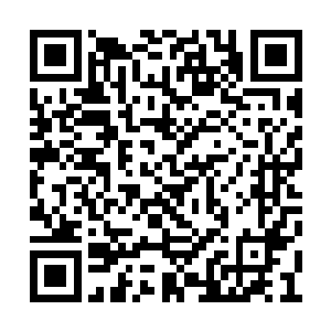 苗毅突然接到了炼狱之地无量道将主金漫的传讯二维码生成