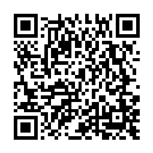 苗毅背个手来回近距离盯着两只彩羽鸟儿细看了一阵二维码生成