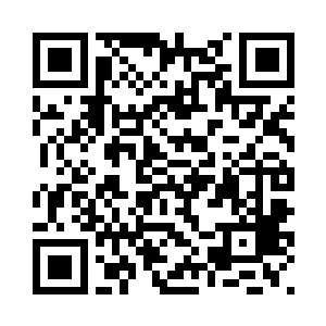 苗毅袖子里的小家伙们又飞了出来二维码生成