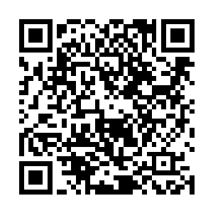 苗毅还是硬着头皮带着秦薇薇去了山顶和岳天波会了面二维码生成